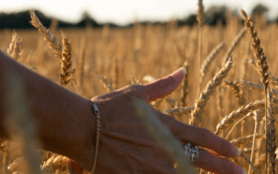 Tratamiento ansiedad valencia: desafía los pensamientos ansiosos